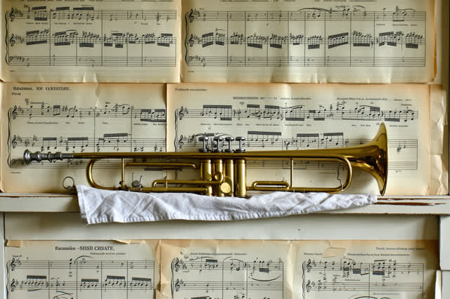 Restful low horizontal crop of a school instrument closet after rain; one dull brass trumpet mouthpiece rests on a folde