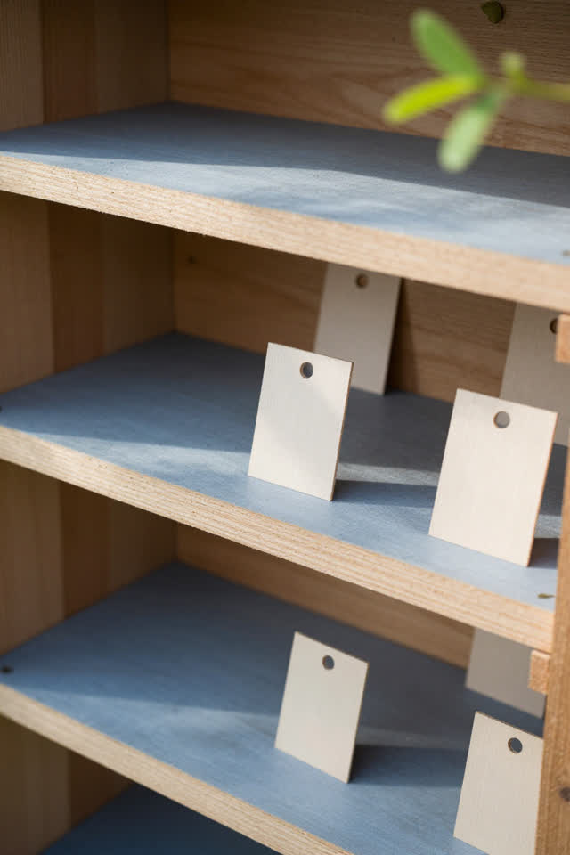 Clean overhead close crop of a community garden tool-shed sorting shelf after rain; several blank pale wooden plant labe