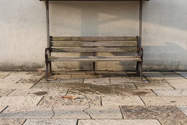 A covered public garden bench in gentle late-afternoon side light after rain has passed. The worn wooden bench sits slig