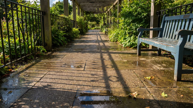 A sunlit covered walkway beside a small public garden after rain. For one brief moment, leaf shadows and railing shadows