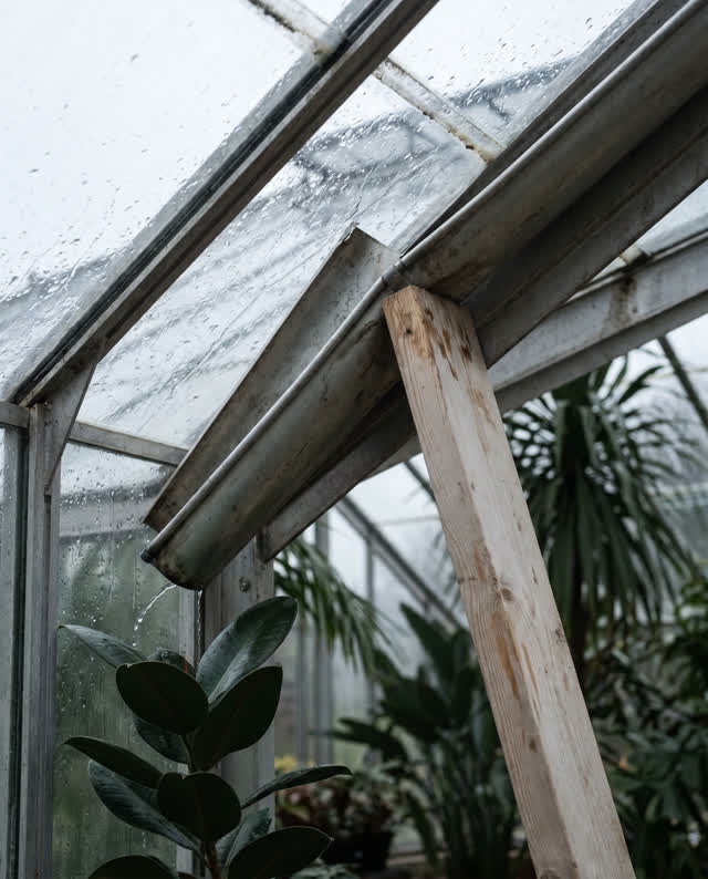 Inside a civic conservatory during steady rain, looking upward close to the glass roof edge. A dull aluminum interior gu