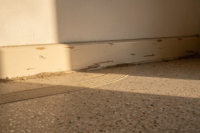 A small sunlit utility room after sweeping. The broom itself leans just outside the frame, visible only by a soft handle