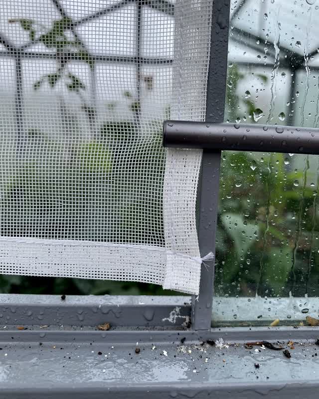A public greenhouse side room in cool post-rain light. A dull white insect mesh screen is sagging at one stretched corne