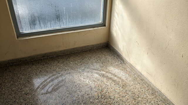 A small public stairwell landing after rain, seen in clear late-morning post-rain light. A high wired-glass window holds