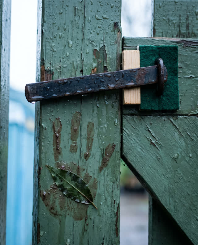 A community garden gate after rain, cropped close, with no greenhouse or potting room visible and no readable signage. A