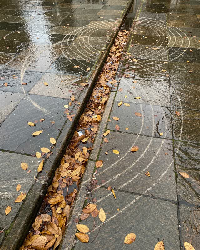 A public maintenance courtyard after a light rain, empty of people, with no readable signs, garden fantasy, apocalyptic