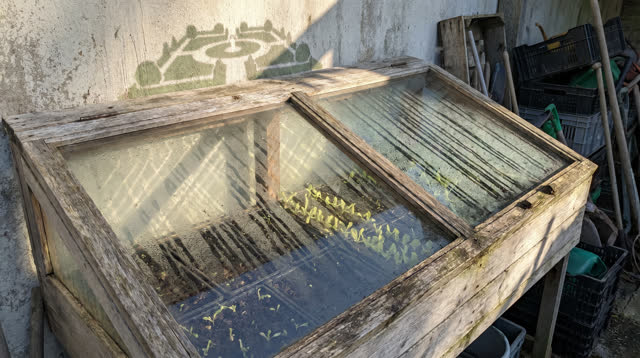 A public garden seedling cold frame at the edge of a service yard, empty of people, with no readable plant labels, botan