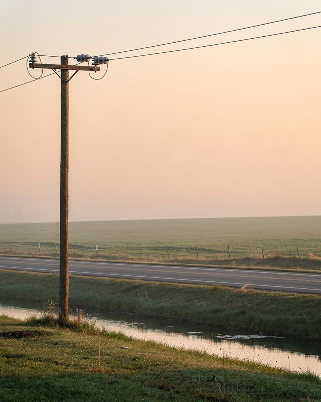 An integrative dawn scene at a utility-pole field edge: ceramic insulators catch warm dawn highlights while ditch water,