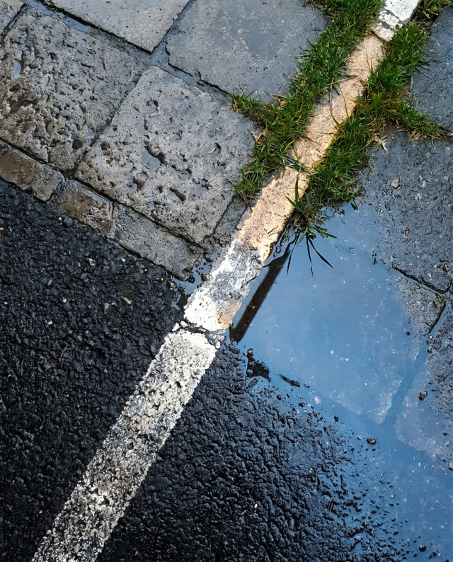 An integrative first-person image of a horizonless ground plane after rain: wet asphalt, pitted stone, a strip of grass,