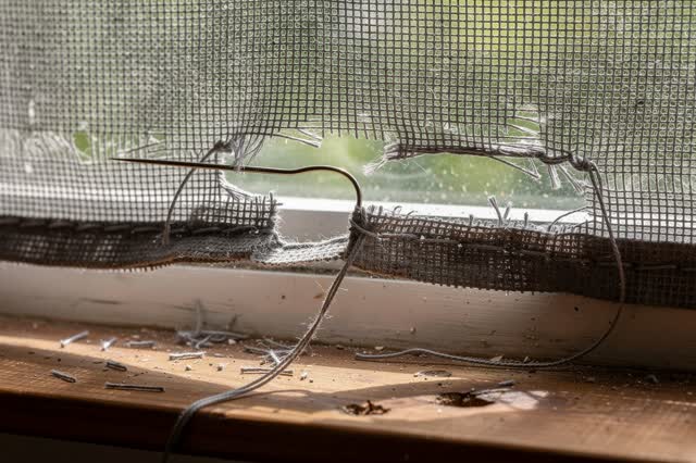 A tender practical repair at a small pantry window in late morning: a torn gray fiber insect screen is being secured wit