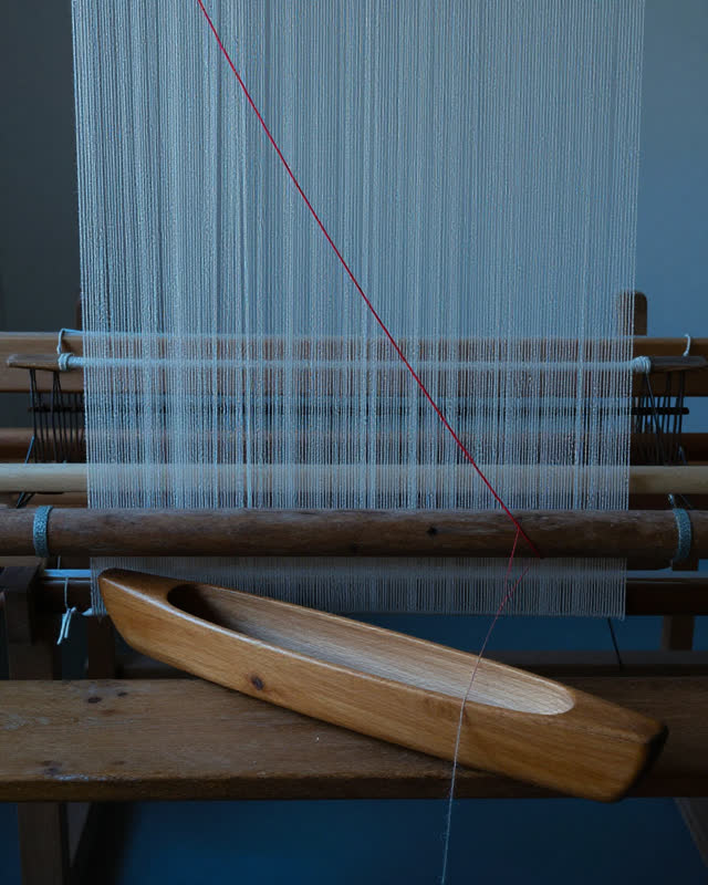 A restrained challenge in a plain weaving room under thin cold dawn light: an unfinished flax warp fills the loom, but o