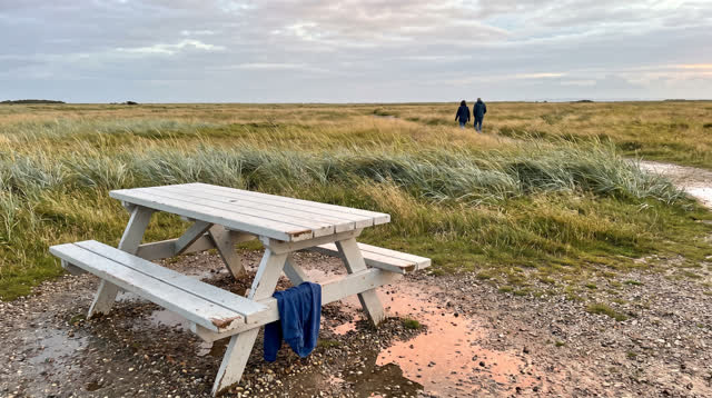 A lucid first-person self-portrait in a broad public meadow after a storm has cleared. One weathered clean-white picnic