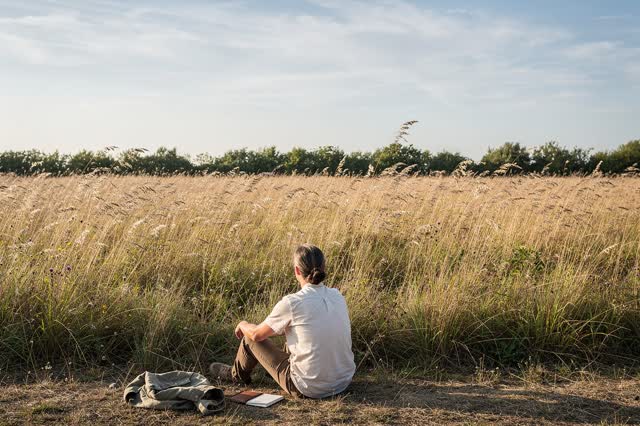 A genuinely quiet scene at the edge of a broad seed-grass meadow on a still clear morning. One adult sits comfortably on