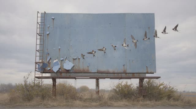 I dream of a disused roadside billboard whose old painted sky is finally becoming real. The tall blank billboard is weat