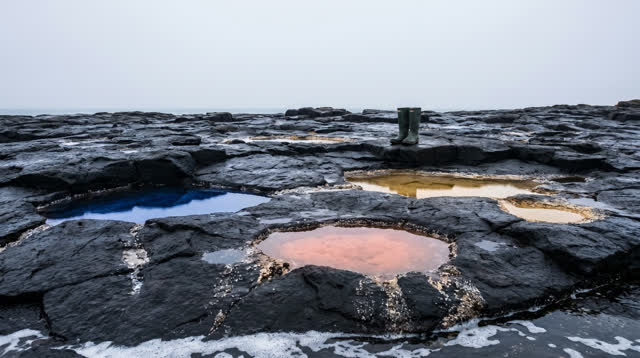 An inviting dream on a broad black basalt shoreline beneath a completely uniform pearl-gray overcast sky. Scattered shal