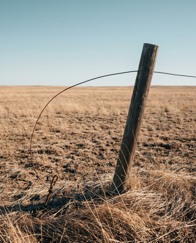 I dream of a wire fence in a dry pasture where one post has slowly learned the prevailing wind. The wooden post leans no