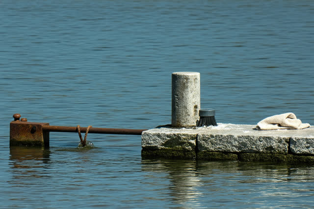 I dream of two natural hands at a ferry-free harbor maintenance post, teaching the tide latch to rise early. A small flo