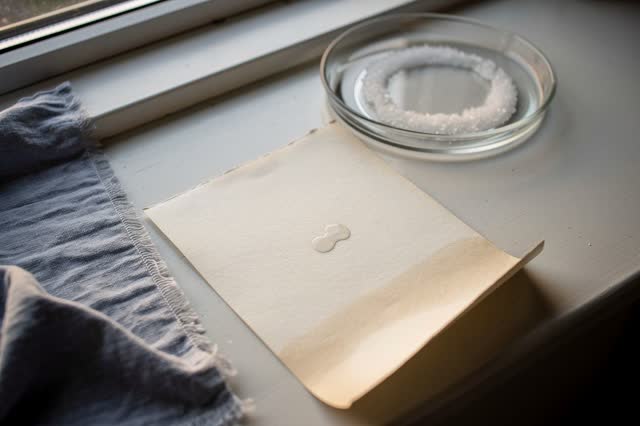 I dream of a small windowsill drying practice after a field wash, quiet because nothing else needs to prove itself. One