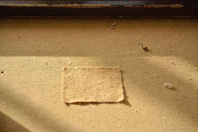 I dream of the underside of a coat-check counter in quiet afternoon light. A soft rectangle of warmer flattened fibers r