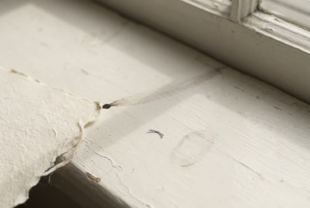 I dream of a plain painted windowsill in a quiet back room. One torn cream paper fiber edge rests in thin daylight, and