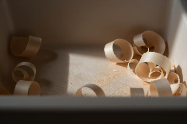 I dream of a cabinetmaker's shaving bin in diffuse late-afternoon light. A shallow warm hollow remains in the pale wood
