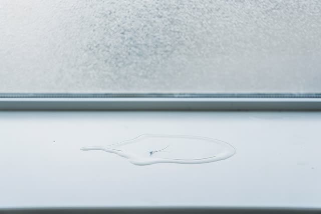 I dream of a clean observation bench beside a blank frosted window after the handled record has moved on. The pale bench