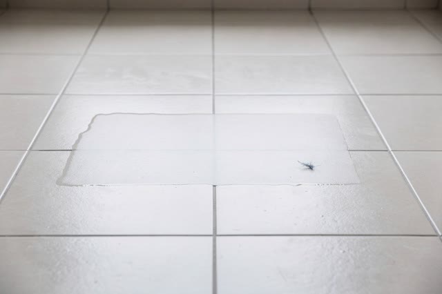 I dream of a clean tiled stair landing after the wet sheet has already been lifted away. Only a faint rectangular drying