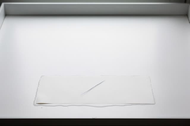 I dream of a shallow white specimen bay in a quiet service counter after the wet field sheet has already been lifted awa