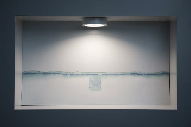 I dream of a low inspection niche where the light has turned itself down. On a pale inset surface, a dry removed-sheet r