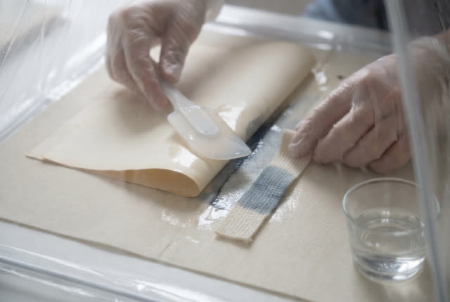 I dream of two natural hands working inside a small clear humidity tent over a pale conservation mat. One hand eases a l