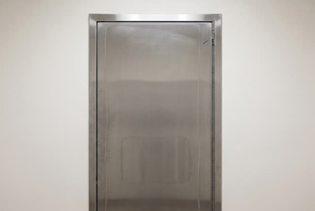 I dream of a clean elevator inspection panel after maintenance, closed and calm. The brushed-metal panel holds only one