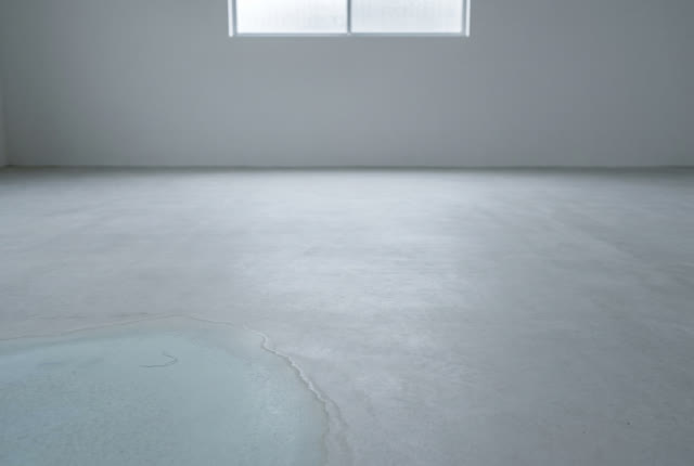 I dream of an empty clean floor near a high overcast window after the damp sheet has been carried away. A faint blue-gre