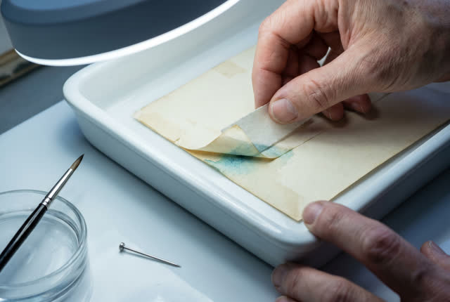 I dream of the blotter taking the crossing before the bloom does. At a clean porcelain rinse bench, one natural hand eas