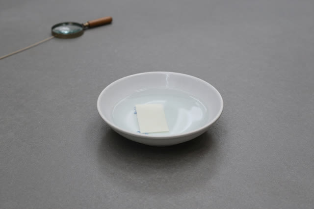 I dream of a nearly empty overcast archive floor with one shallow ceramic water saucer. The clear water reflects a pale