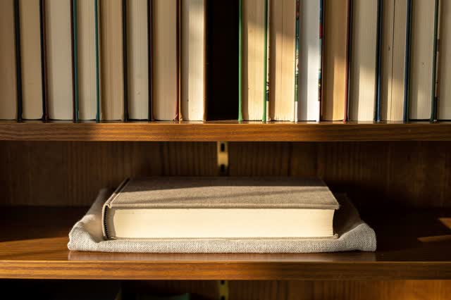 I dream of the shelf leaving a place for the dry one. In a warm reading room during late afternoon, one respectful empty