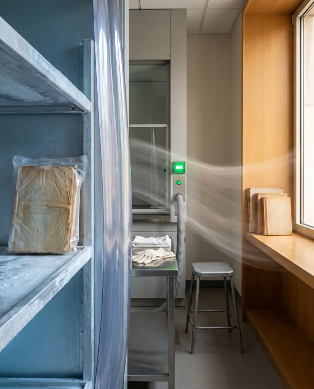 I dream of the freezer and the reading room sharing a threshold. In one coherent conservation threshold room, a dull alu