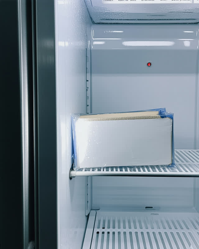 I dream of the warm air arriving too early. At the threshold between a freezer alcove and a warmer prep room, a sealed p