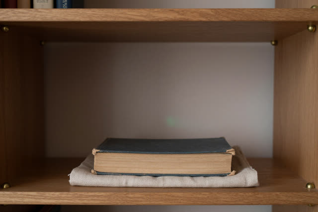 I dream of the dry book waiting for ordinary dust. In a warm reading-room shelf bay after treatment equipment has been r
