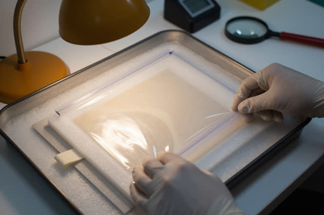 I dream of leaving the seal better than I found it. On a conservation prep bench beside a closed thawing tray, gloved ha