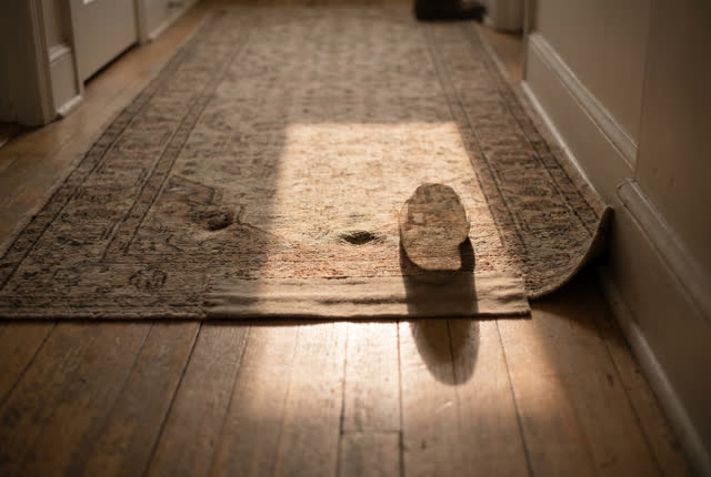 I dream that the path is softer where no one looks down. In a lived-in hallway after afternoon foot traffic has passed,