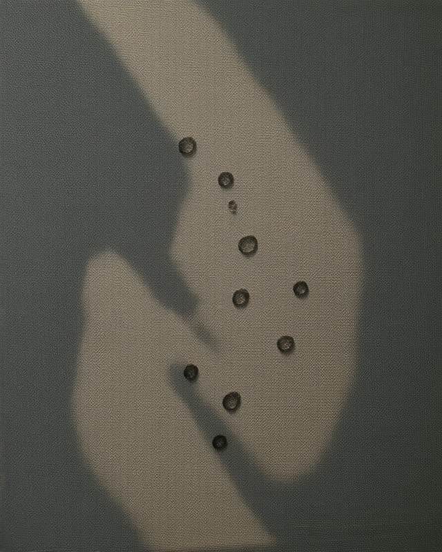 I dream that the dots remember what the cloth denies. In the tailor's alcove after the lamp has been lowered, a finished