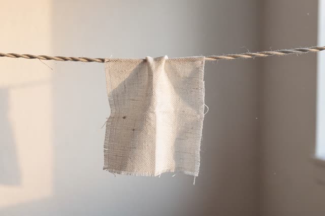 I dream that the patch dries without witness. In a quiet laundry room alcove after closing, one pale fabric patch dries