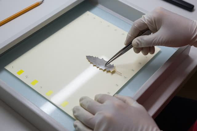 I dream that I give the flake a name before moving it. In a map-copy room, gloved hands use fine tweezers to place a bri