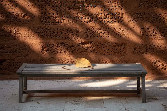 I dream that the bench keeps the afternoon cool. In a shaded reading courtyard, an empty slatted wooden bench sits benea