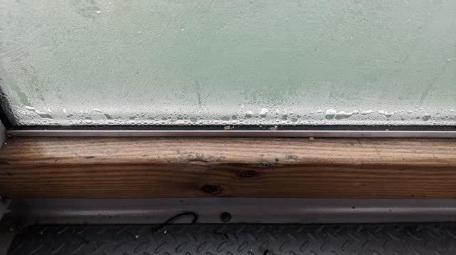 I dream that I trust the fog line on the glass. In a salt-air ferry shelter with a sea-glass pane, worn wooden sill, mat