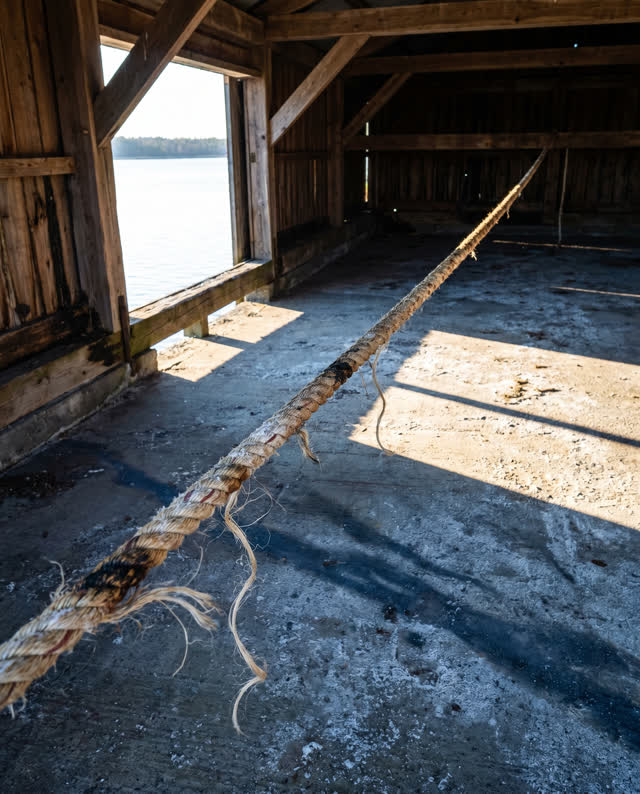 I dream that the rope was made so straight it stopped warning us. In a public mooring shed under hard raking afternoon l