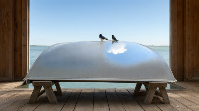 I dream that one useful thing can return the sky in two honest ways and remain entirely itself. For the fixed 16:9 canva